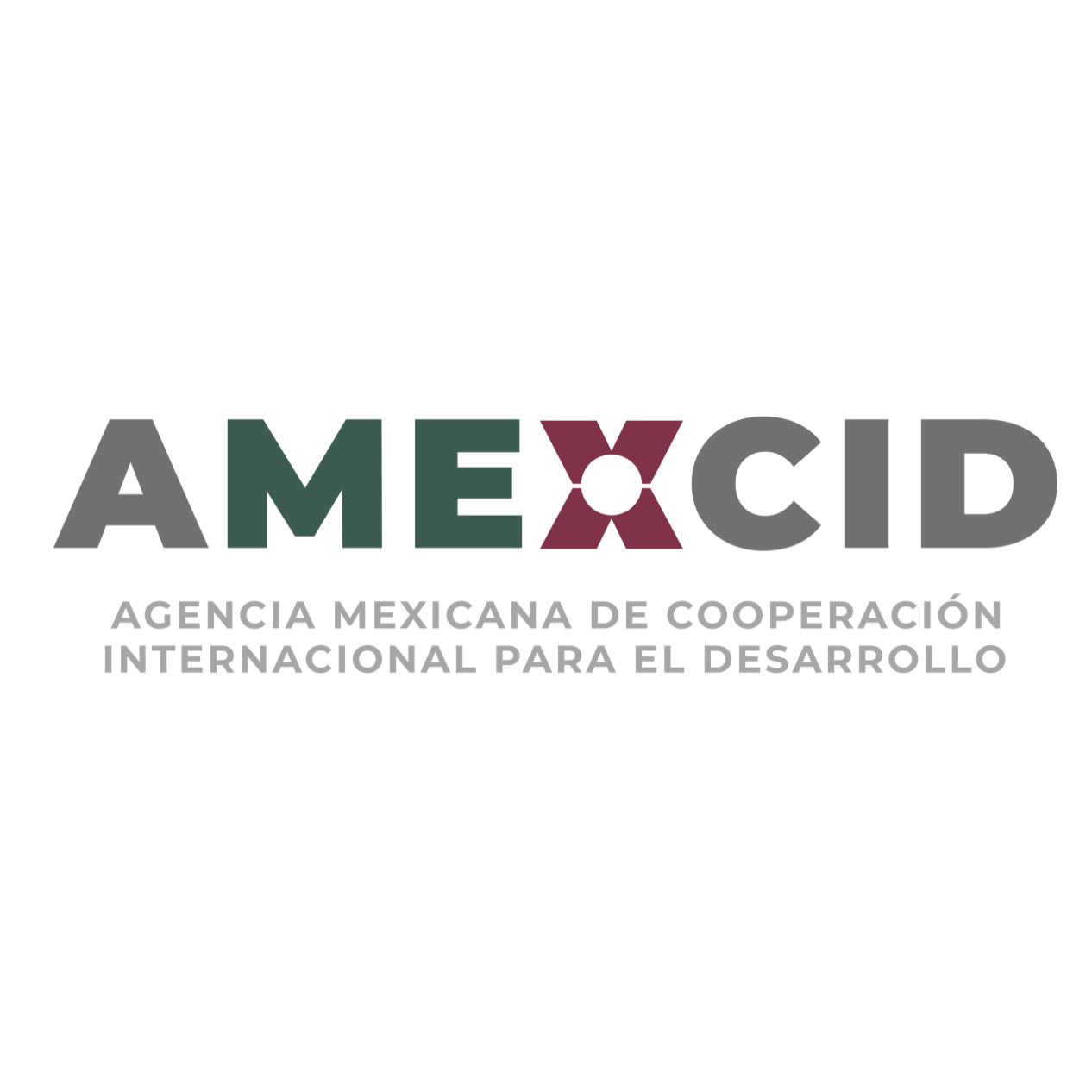 Mexican Agency for International Development Cooperation (AMEXCID)